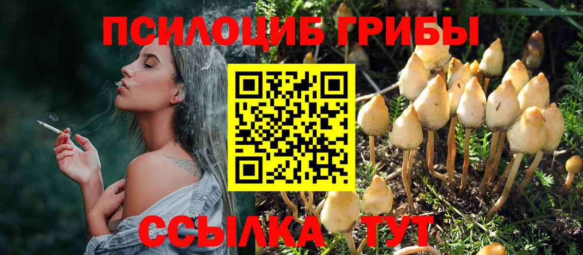 Галлюциногенные грибы Psilocybine cubensis Кохма