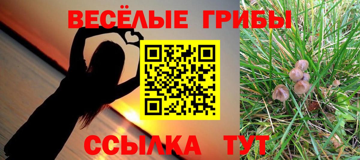Кохма  Галлюциногенные грибы мицелий  Вход с VPN 